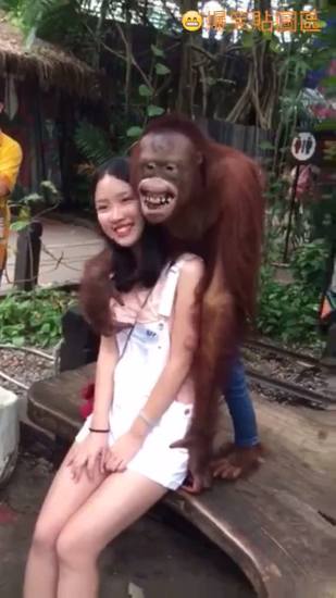 Chết cười với con khỉ dê nhất vườn thú =))