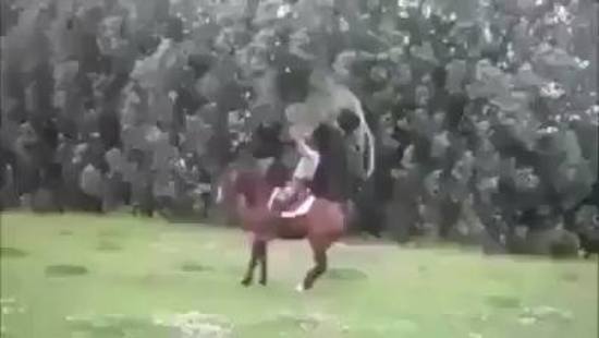 Sốc với người và ngựa chơi nhảy dây 